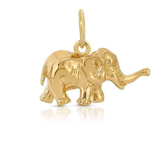 The Wise Elephant Charm