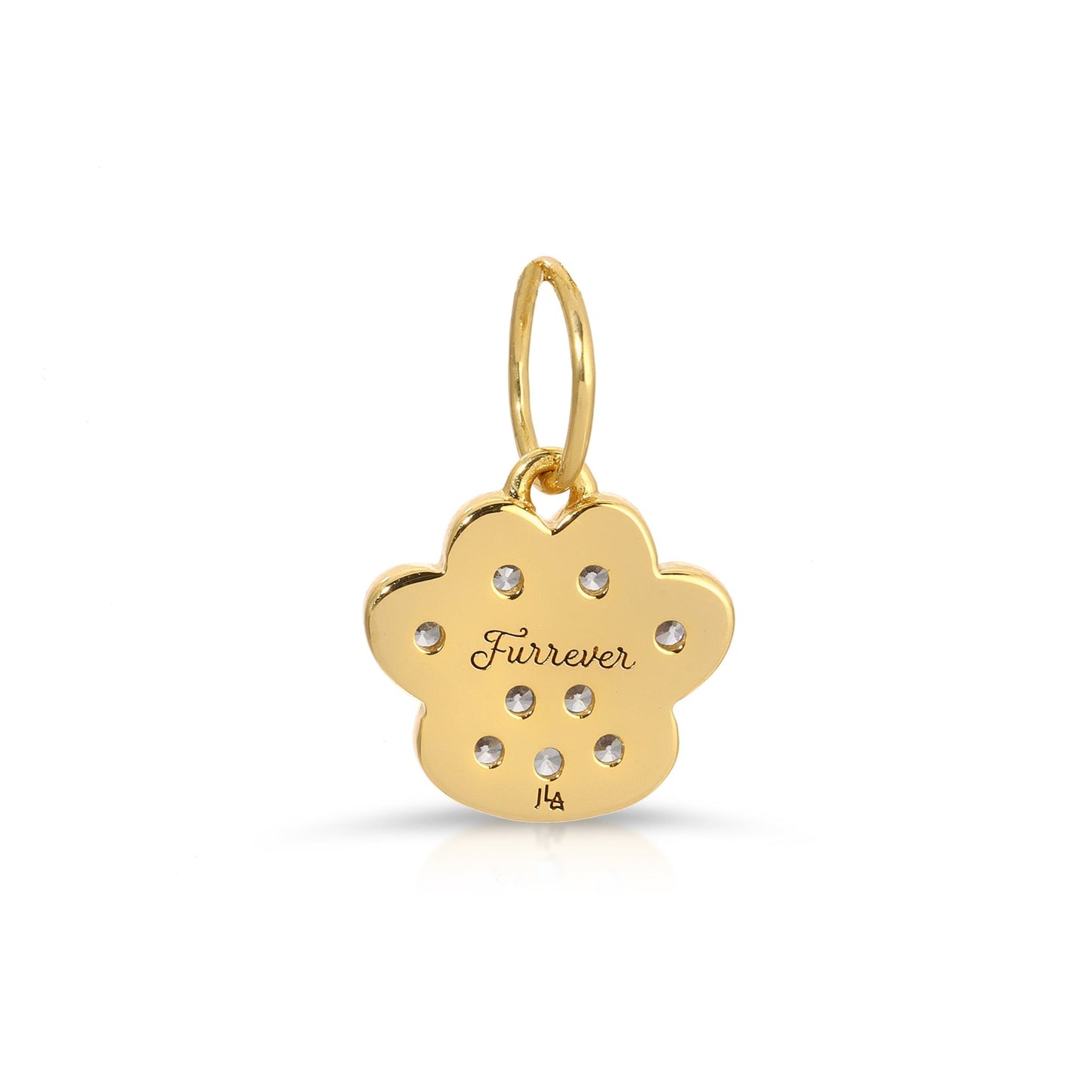 Best Fur-iend Paw Charm