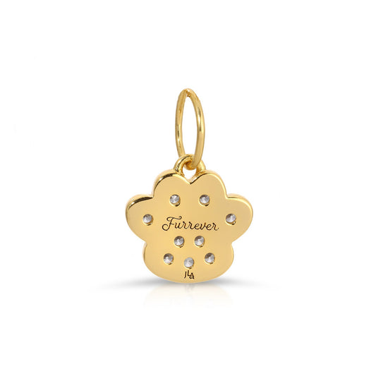 Best Fur-iend Paw Charm