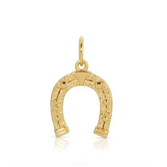 Happy Chance Horseshoe Charm