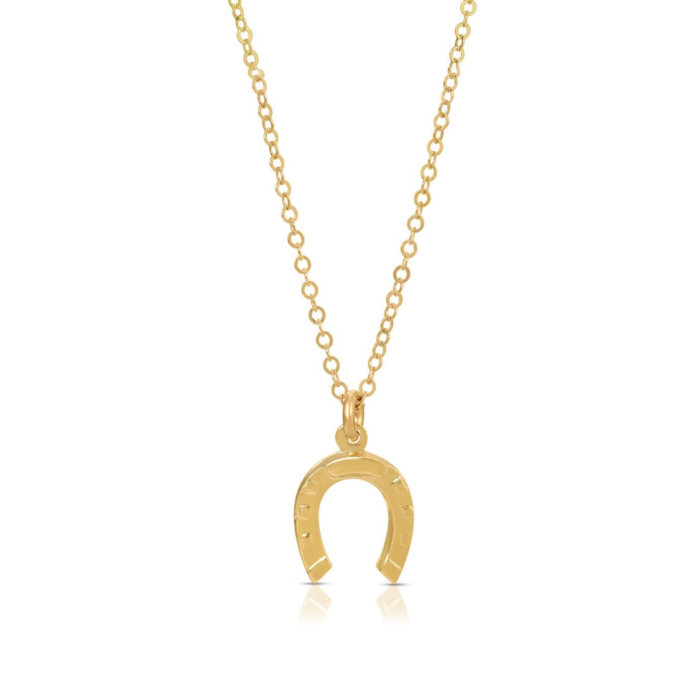 Serendipity Horseshoe Necklace