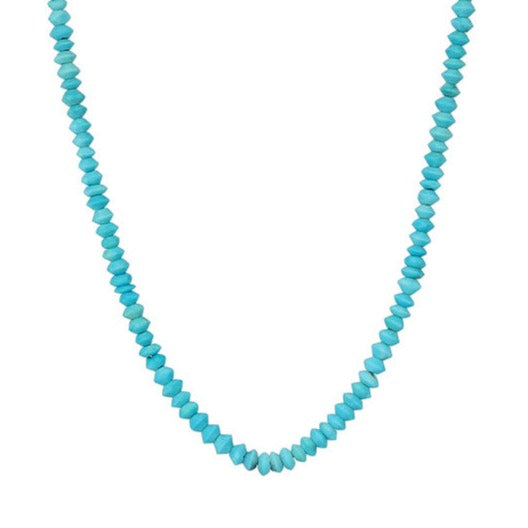 Sidekick Turquoise Beaded Necklace